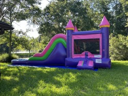 IMG 8072 1771966835 Princess Bounce House Combo 35 ft